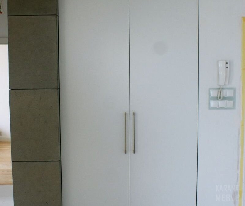 Szafa — drzwi uchylne, MDF, lakier mat